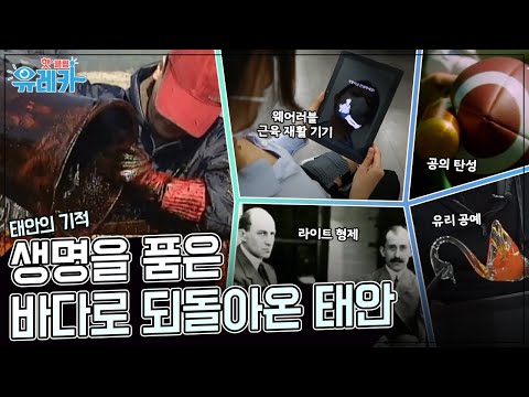 해양 생태계가 무너졌던 그 날의 사고 🌊 [#핫클립유레카] / YTN 사이언스