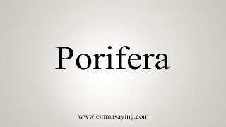 How To Say Porifera