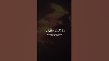 سورة الأنعام | القارئ ياسر الدوسري