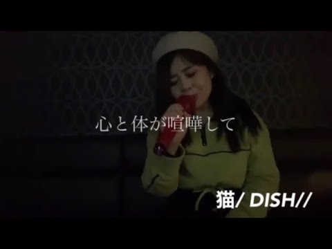 【歌ってみた】猫/ DISH//