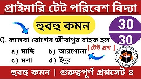 প্রাইমারি টেটে পরিবেশ বিদ্যা প্রশ্ন হুবহু কমন | পরিবেশ বিদ্যা ৪ |  primary tet preparation 2022