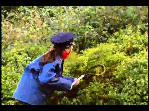 just-for-laughs-gags-dvd-2-episode-2