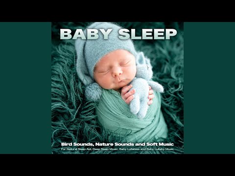 Baby Lullabies