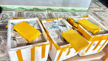 Chân tầng ong mật nội địa làm bằng sáp nguyên chất 100% ong tiếp nhận CỰC KỲ NHANH. 0969.990.324