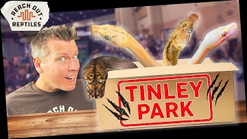 Unboxing Reptiles From The Tinley Park Reptile Expo! [OCTOBER 2025]