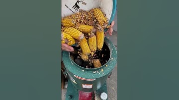 jam the machine" Corn cobs, watermelons 🍉➕ Various straws and grasses are used as mixed materials