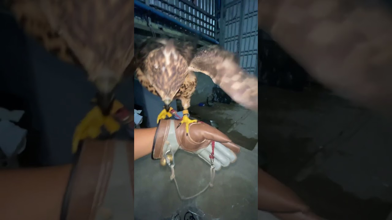 ស្អាតណាស់