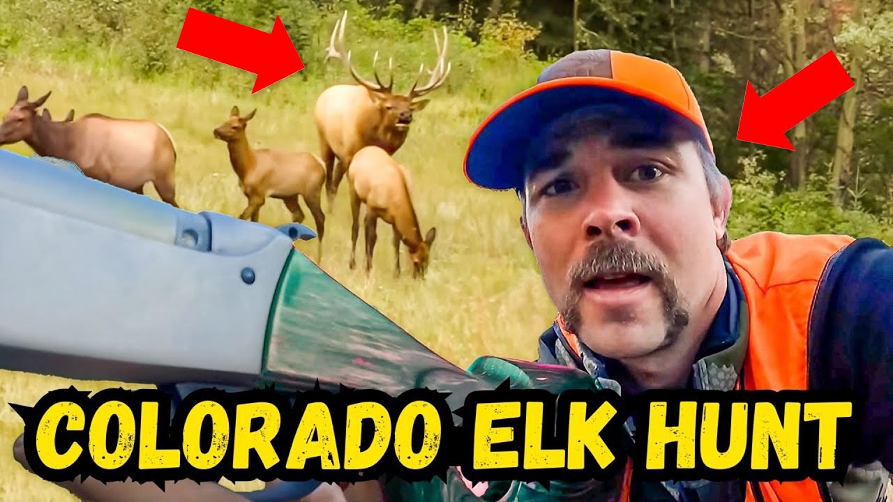 MUZZLE LOADER ELK HUNT! You Won't Believe What Happens! YouTube