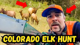 MUZZLE LOADER ELK HUNT! You Won't Believe What Happens!
