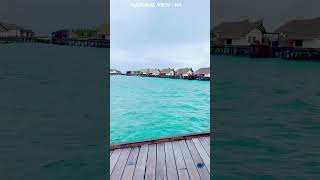 Wow Amazing  #shorts #vairal #shortvideo Maldives resort