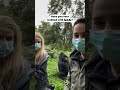 HOW DO I BOOK GORILLA TREKKING IN UGANDA? #visituganda #gorillasafari #mgahingagorillanationalpark