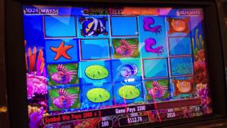 IGT Tully’s Treasure Hunt Slot: Line Hit
