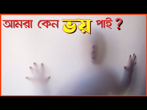 Why are we afraid || আমরা কেনো ভয় পাই || Dream Journey BD ||  ভয় |