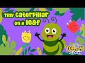 Tiny Caterpillar On A Leaf Sing Along With Nanny Nay Nay 