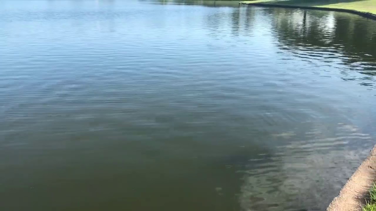 Psalm 119 The Passion Translation YouTube psalm-119-the-passion-translation-youtube