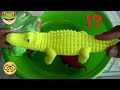 Play Fishing with Crocodile Fish Frog - Video for kids Toddlers - Anak Baik -