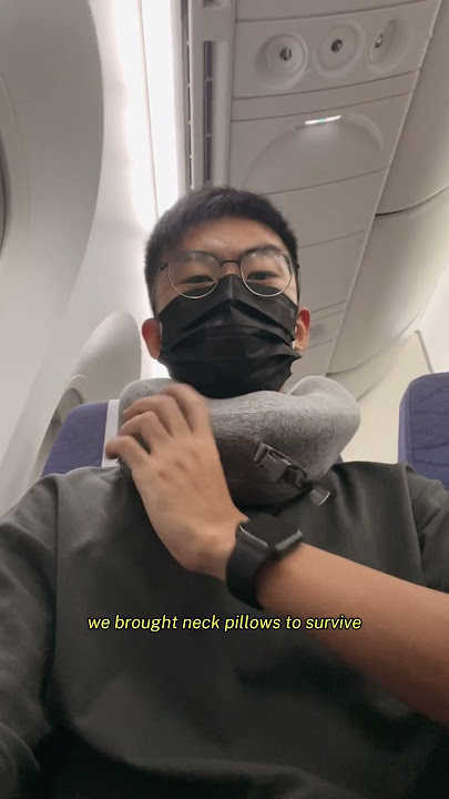 Download lagu this is how i survived a 13h budget flight on scoot