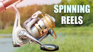 The Best Spinning Reels You&#39;ve Been Waiting For | Best Spinning Reels 2022