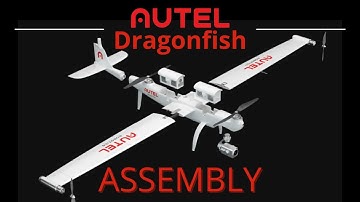 DragonFish - Assembly
