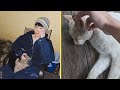 Jimin BTS And The Mysterious Cat A Simple Post That Touched Millions Of Hearts Jimin BTS And The Mysterious Cat A Simple Post That Touched Millions Of Hearts