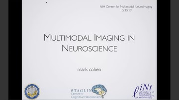 CMN Multimodal Neuroimaging Workshop 2019 – Mark Cohen
