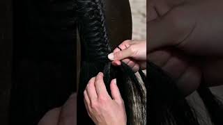 Tail plaiting, made easy! ✨