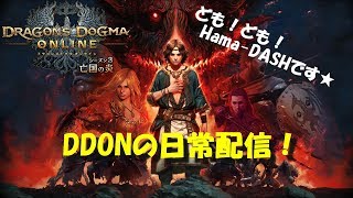 [DDON]初見さん歓迎♪ほぼ２４時間配信！第二部やってくよー
