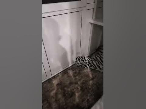 спят😊 🕛🕧🕐🕜🕑🕝🕒🕞🕓🕟🕔🕠🕕🕡🕖🕢🕗🕣🕘🕤🕙🕥🕚🕦 - YouTube