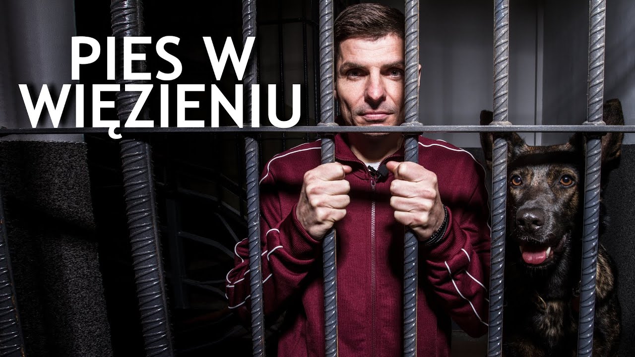 PIES W WIĘZIENIU – DOGOTERAPIA I RESOCJALIZACJA ZA KRATAMI
