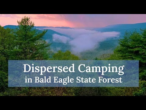 How to Dispersed Camp in Pennsylvania State Forests