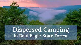 How to Dispersed Camp in Pennsylvania State Forests