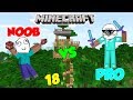 NOOB VS PRO - MINECRAFT 18