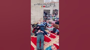 الشيخ ياسر الدوسري سوره الروم #القرآن_الكريم #تلاوة_خاشعة
