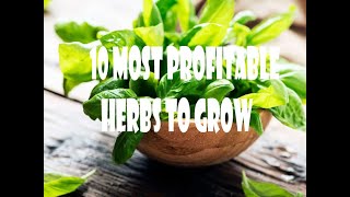 Be a Millionaire by Just growing Crops!!! 💰 💰 💰 | 10 Most Profitable Herbs To Grow