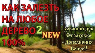Видео КАК ЗАЛЕЗТЬ НА ДЕРЕВО ЛАЙФХАК выжить любой ценой (автор: БлагоДать)