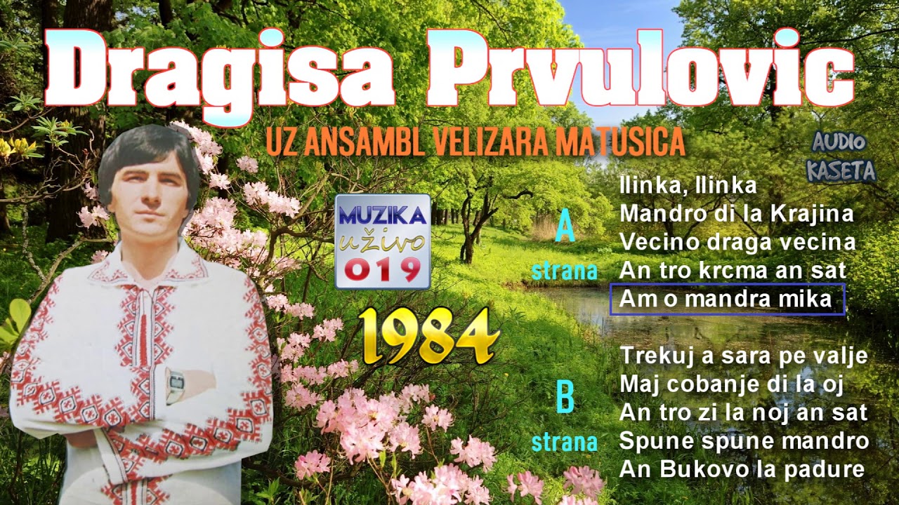 Dragisa Prvulovic i ansambl Velizara Matusica 1984 - Vlaske pesme CEO ALBUM // MuzikaUzivo019