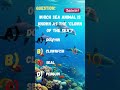 "Which Sea Animal Is Called the Clown of the Sea? 🐧🎭 #shorts "