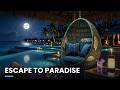 Palm Dreams Relaxation – Soft Tropical Ocean Sounds