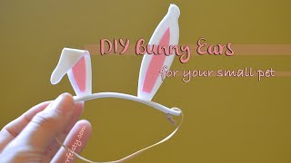 DIY bunny ears for your pet Guide