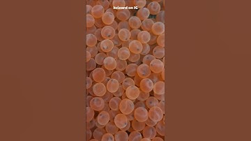 Artificial Breeding Of Salmon EXPLAINED