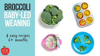 Broccoli Recipes for Baby-Led Weaning