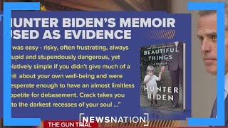 Hunter Biden memoir of drug use discussed in federal gun trial | Dan Abrams Live