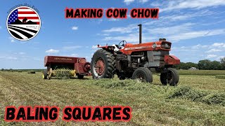 Famous Raking & Baling Hay on a Small Dairy Farm: Making 2nd crop small square bales with the Massey Wealth