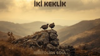 İki Keklik Türkü Cover Anatolian Soul