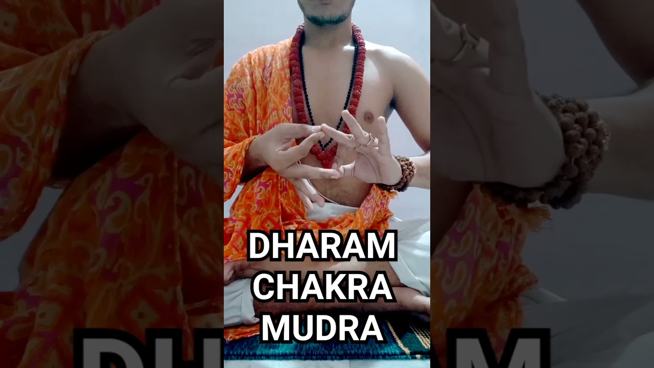 Dharmachakr mudra 