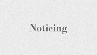 Noticing- RT Nolan