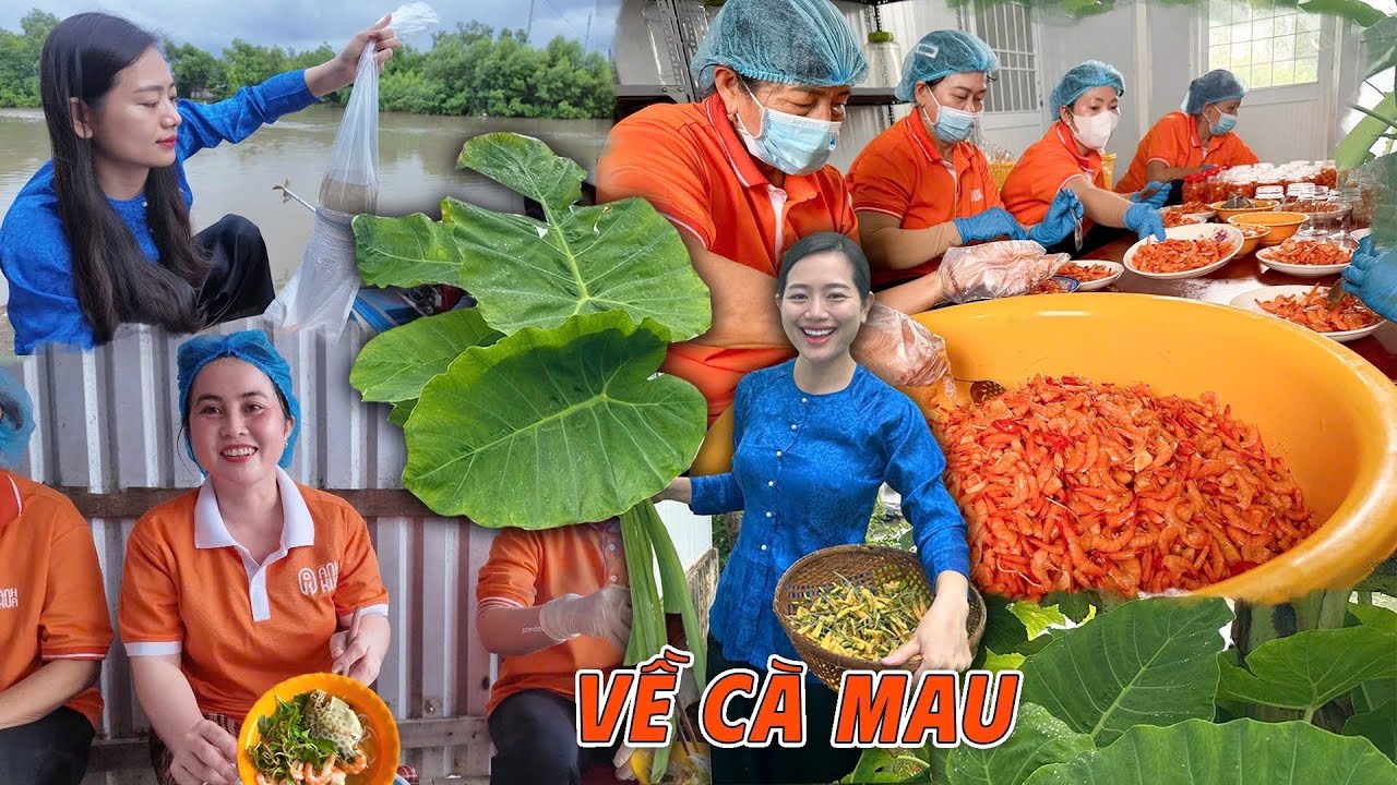 Về Cà Mau Thả Tôm giống, Cua giống cho Cha Mẹ, Ăn bữa cơm rau vườn và Hải sản Quê nhà | ÁNH KUA