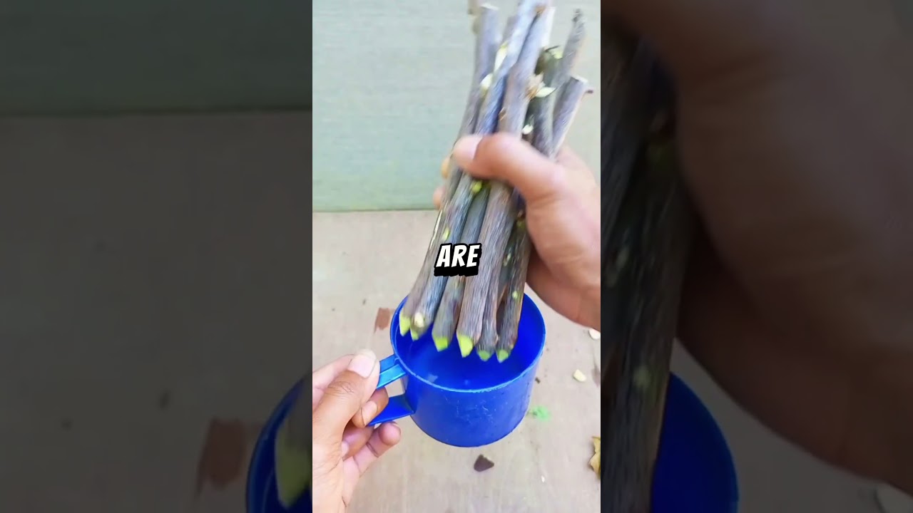 Mortal Game (2024) Movie Explained In HindiUrdu Summarized  - YouTube Auto PHP Script