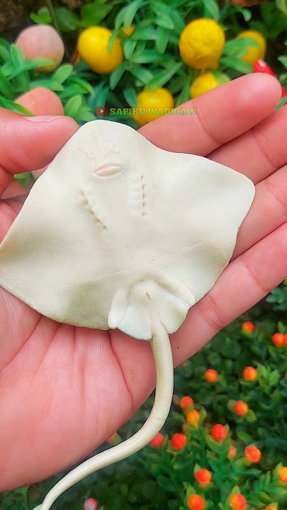 IKAN PARI‼️ WADIDAU PROSES POTONG SAPI‼️ #sapi #sapilucu #shorts