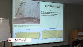 Hydroxyurea in Sickle Cell pt 1